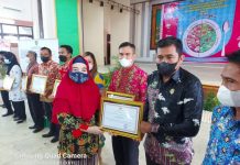 Wow … Keren, Pemdes Malitin Terima Penghargaan Dari Bupati
