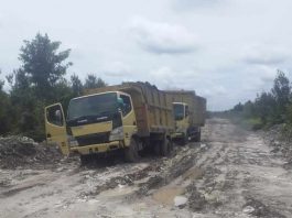 Diduga Angkutan PT. HGE Rusaki Jalan Pemda, Pemdes Plantau Lakukan Pemortalan