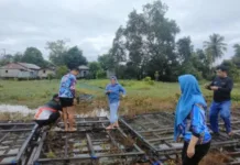 Hasil Panen Ikan kolom Percontohan Untuk PAD