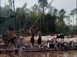 Penambang Emas Liar Das Barito. Ada Siapa???
