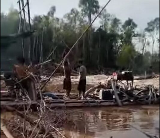 Penambang Emas Liar Das Barito. Ada Siapa???